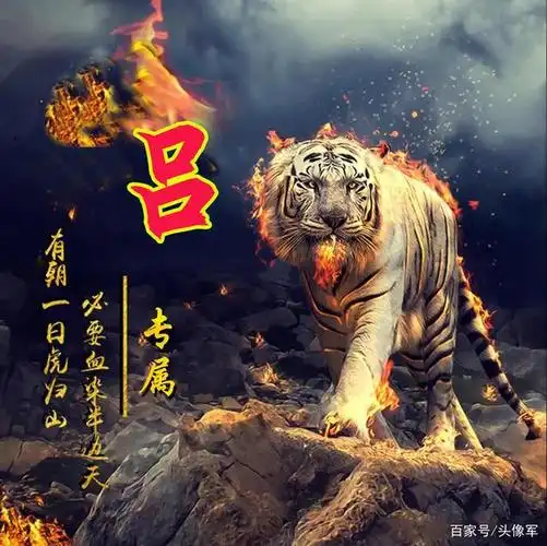 虎头燕颔( 虎头燕颔面相 )