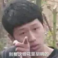 别整这些花里胡哨的(王境泽指人表情包)_王境_别整_指人_花里胡哨表情