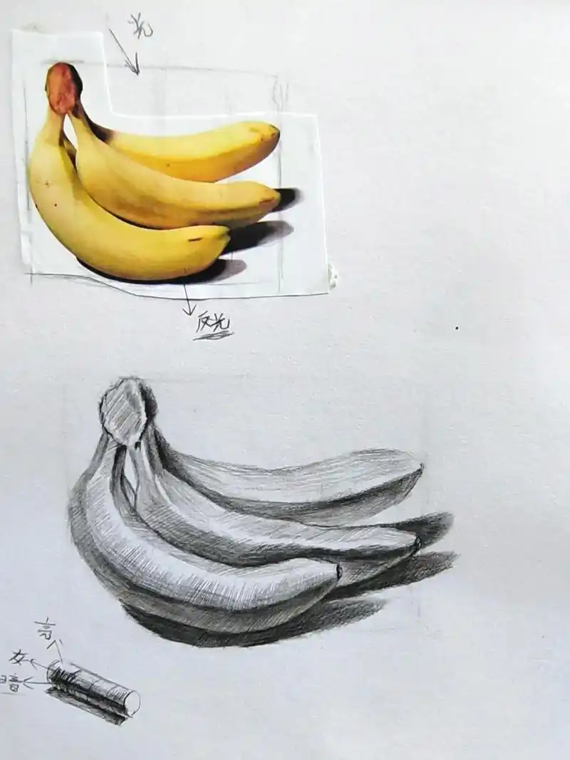 简单易学的素描香蕉画法.#图文伙伴计划 #画画 #素描 #零 - 抖音