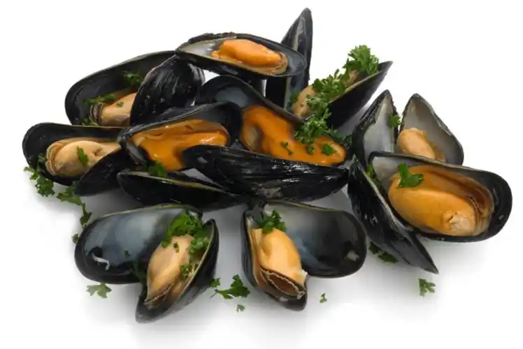 最全澳洲贝壳类海鲜挑选指南 | 塔州吃扇贝,南澳吃鲍鱼,悉尼吃生蚝.