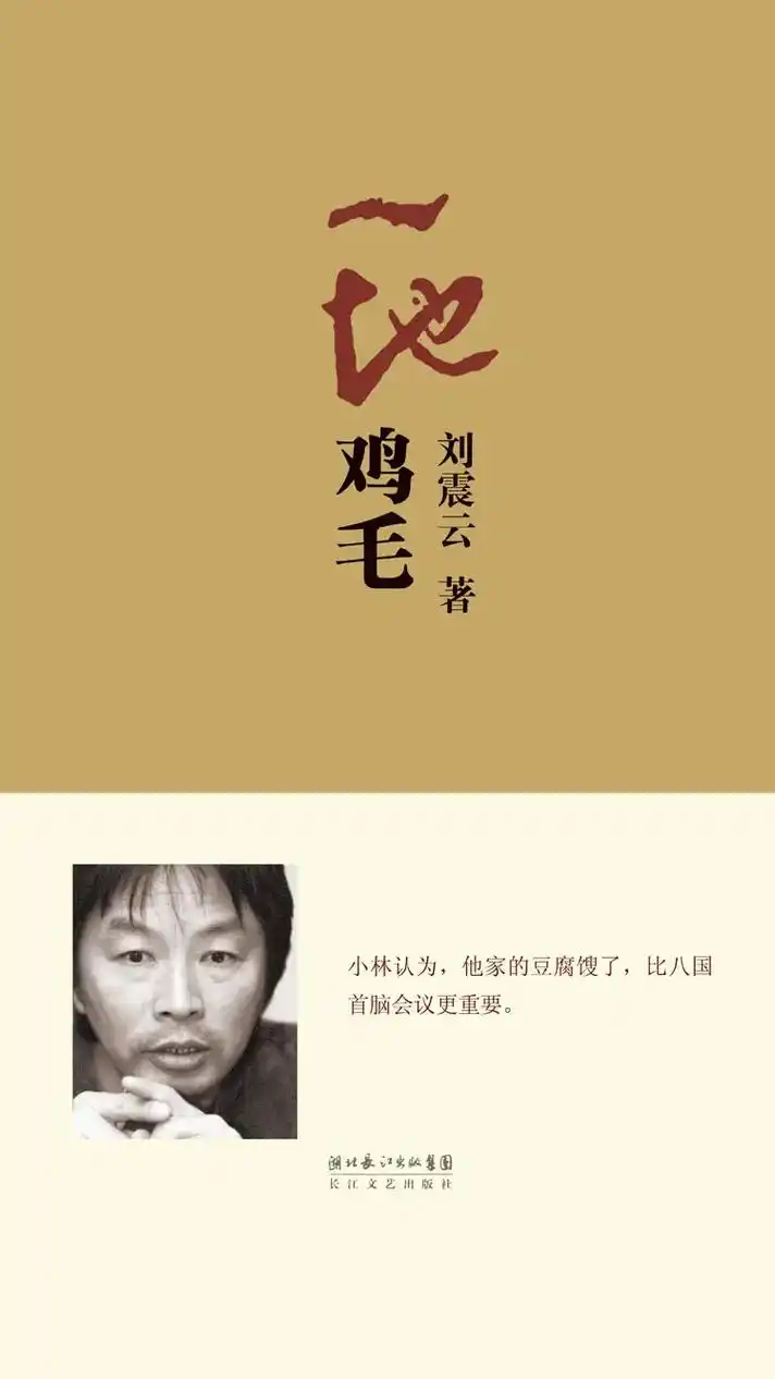 一地鸡毛的人生也是人生.