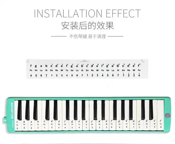 口风琴键盘贴专业37键32键27键适用音标贴奇美铃木初学入门音阶贴37键