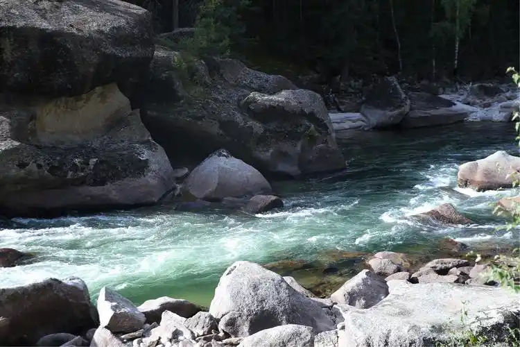 碧绿的河水静静流淌.