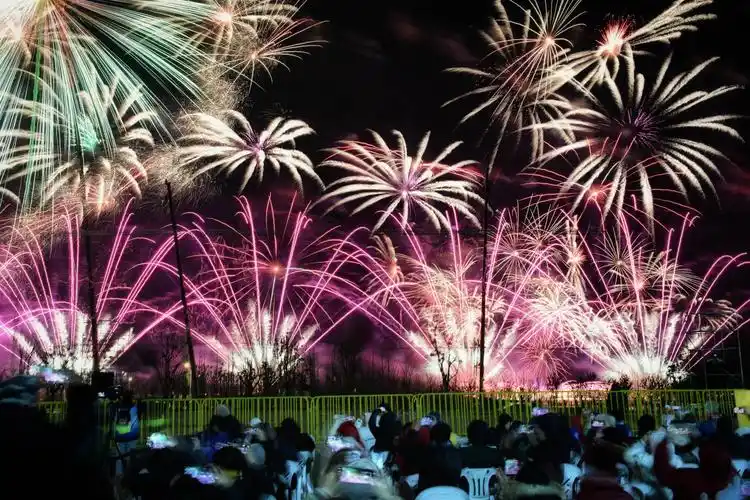 2021,元旦"烟花秀"