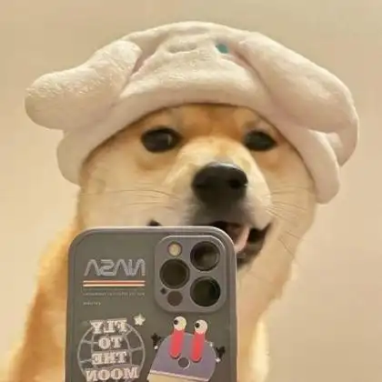 头像图片2022最火爆狗 高清可爱的狗狗头像图片大全2022_动物头像