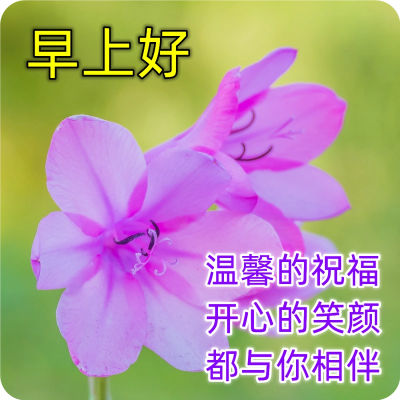 春季早安漂亮问候图片短信祝福语 最美早上好问候语录祝福图片