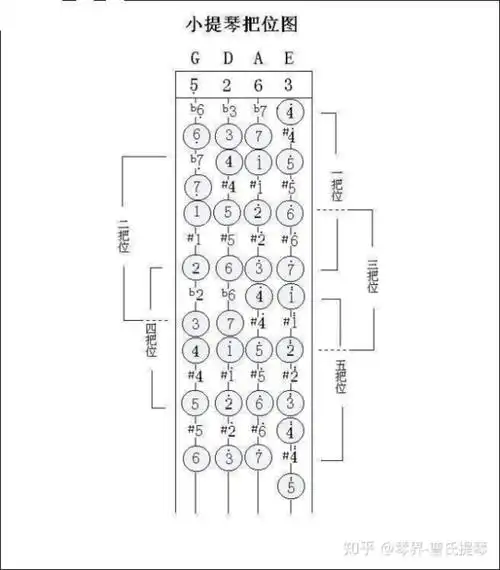 小提琴的把位划分