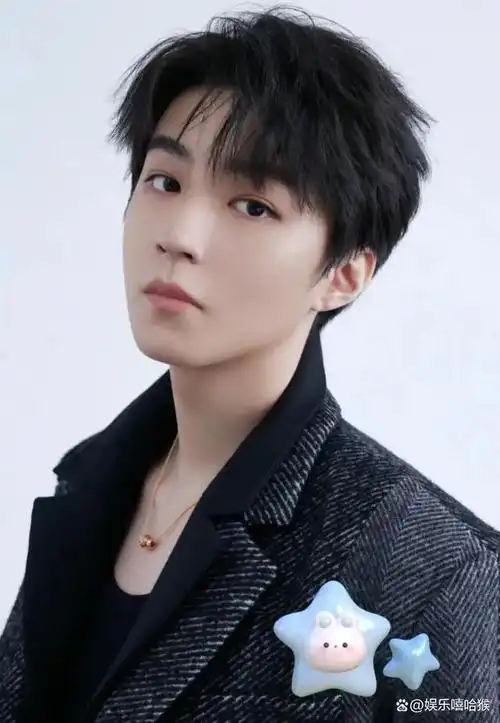 2024年内娱流量艺人现状:肖战王一博已过去?成毅成对流层顶流?