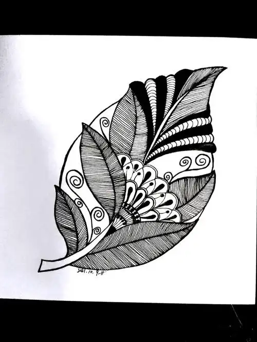 打开69简笔画羽毛临摹练习黑白线条