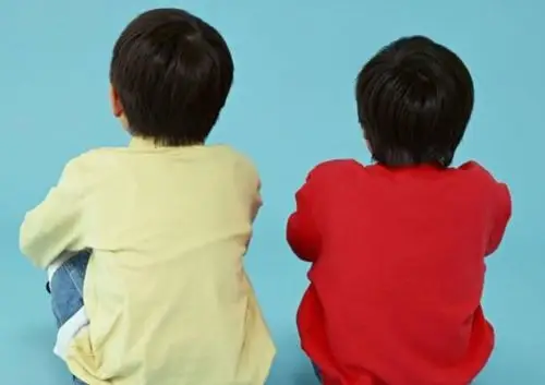 两个儿子的家庭最大的烦恼不是高额养育费而要面对两个现实