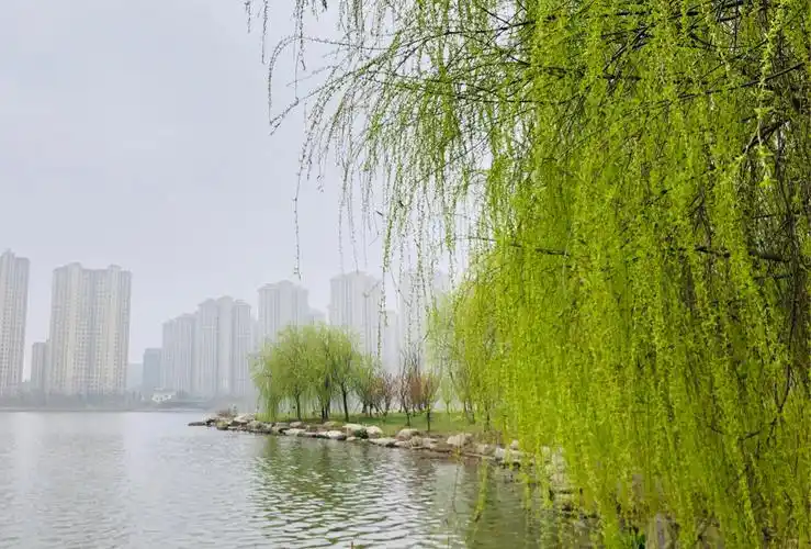 细细品茗春的篇章——走,跟着斗门小学的孩子一起踏青,阅读春天!