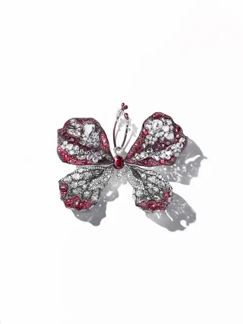 2015 2016 black label masterpiece i 红宝蝴蝶.