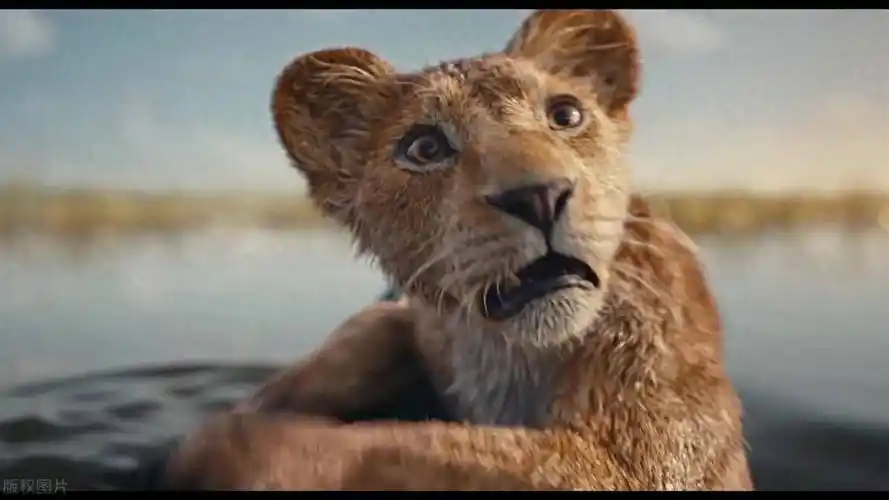 电影《 狮子王:木法沙传奇》深度解析