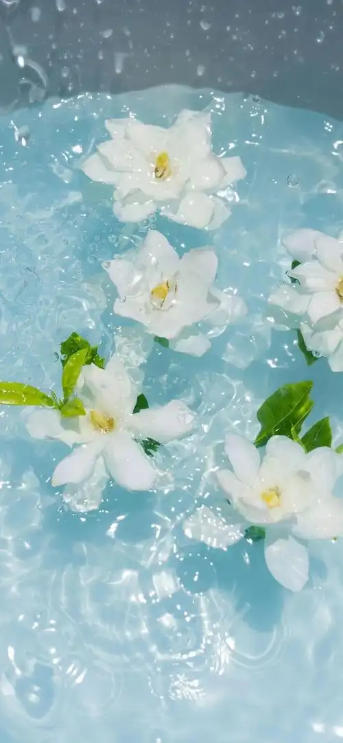 清凉一夏  一键保存夏日手机锁屏壁纸