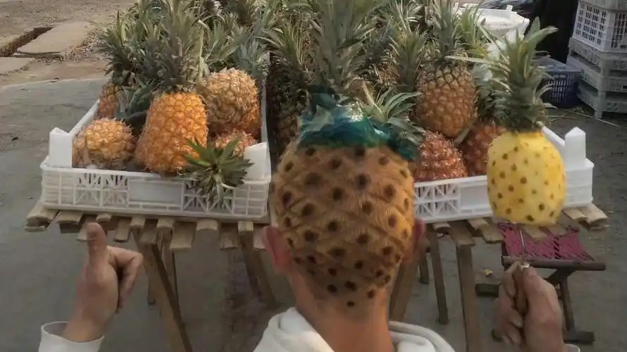 河北小伙顶着"菠萝头"卖菠萝走红网络:想赚钱给家人更好的生活