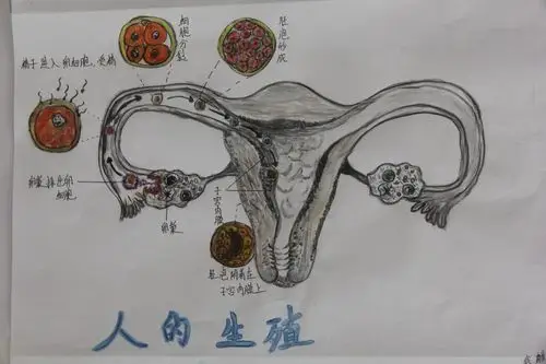 生物之花在十二中校园绽放