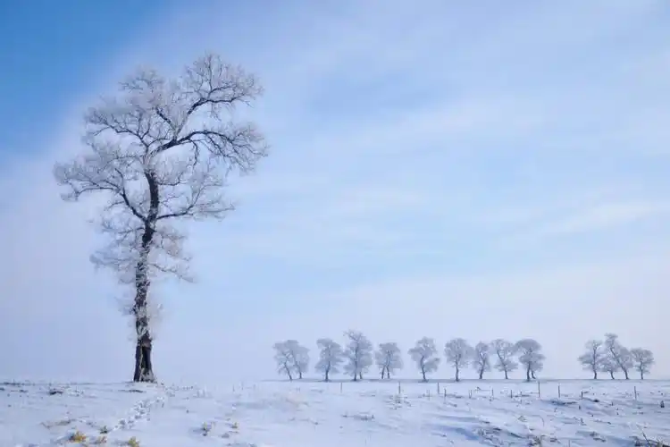在北方以北的地方,白雪茫茫也无法阻挡美梦一场.