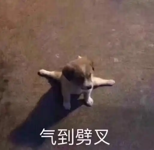 我他妈笑到劈叉-表情图片-搞笑图片表情包-表情包网站