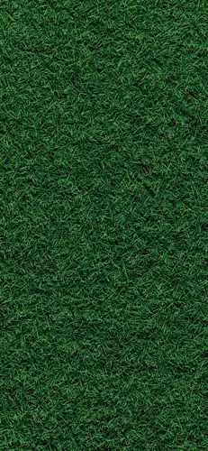 求一些绿色森林/树林/草地壁纸