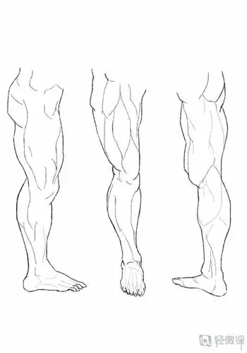 临摹腿—腿部人体肌肉结构入门训练