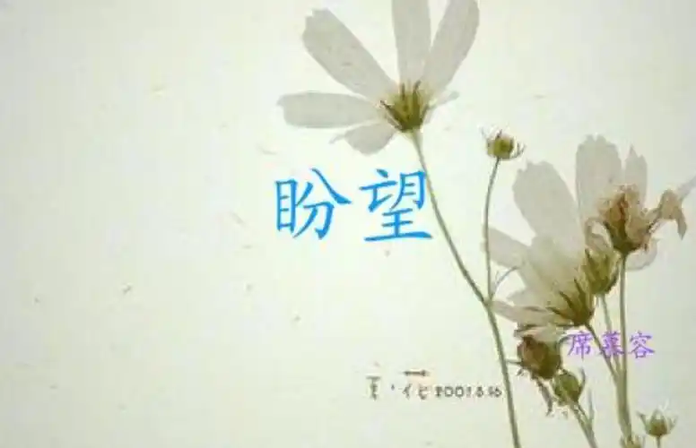 记得上次和父亲吃饭是暑假的事儿了,父亲工作辛苦,一个人管工地,还要