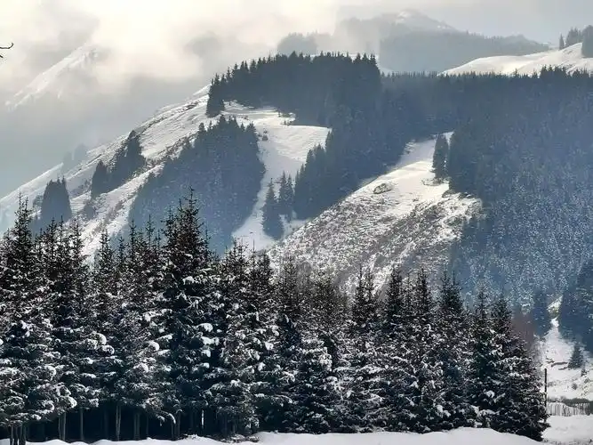 雪山舞景灿美天地
