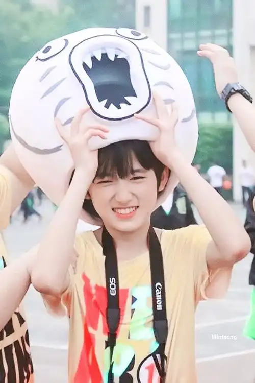 tnt二团幼崽图鉴