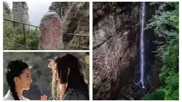 活动重阳节跟着台州四大方言主持人阿福阿福嫂小希小辉