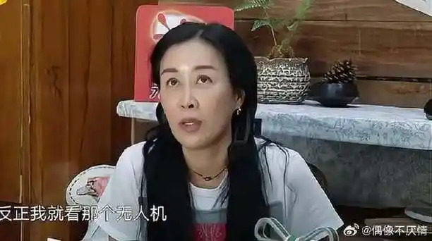 那英前脚刚进蘑菇屋,下秒又来客人|那英|蘑菇屋|向往的生活_新浪新闻