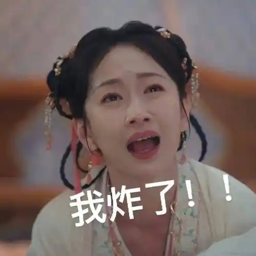 宋舞"我炸了"表情包备受打工人喜爱所以面试的时候,他连问了田曦薇三