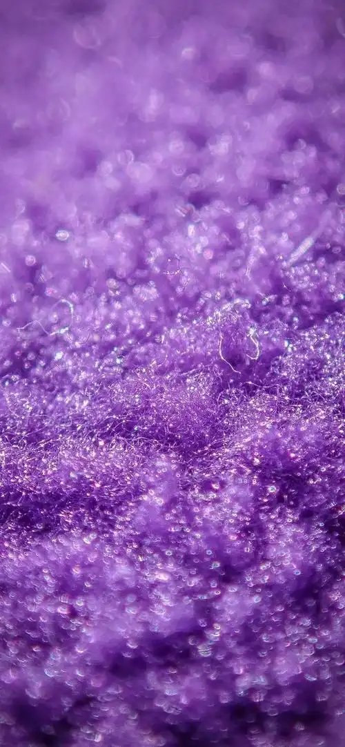 听说有人想要紫色系的壁纸?