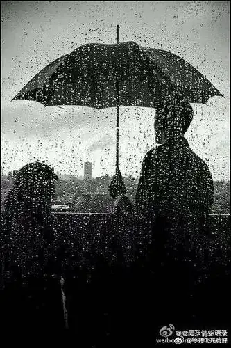 总有一天我只愿在北方孤独终老