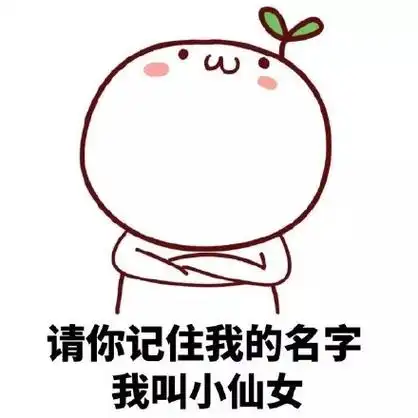 我叫小仙女 - 请记住我,我叫小仙女(颜文字)_小仙女_颜文字_文字表情