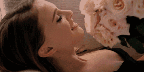 500_250gif 动态图 动图