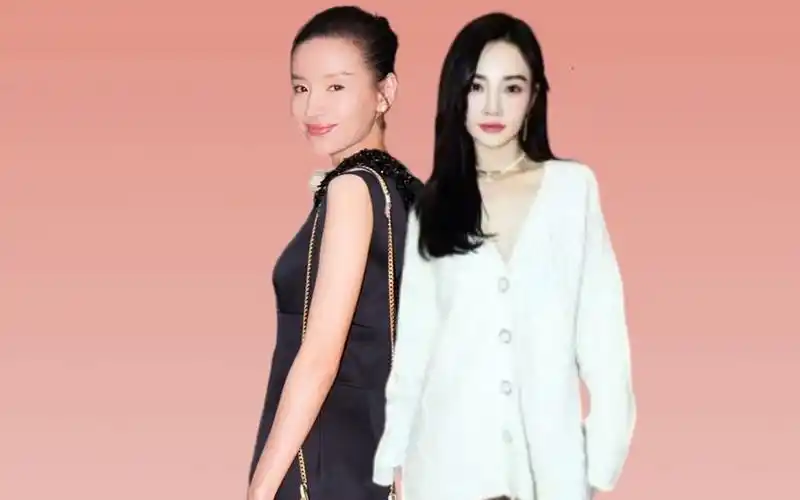 同样是婚内出轨,凭什么李小璐遭"退货",而董洁依旧能拍戏直播?