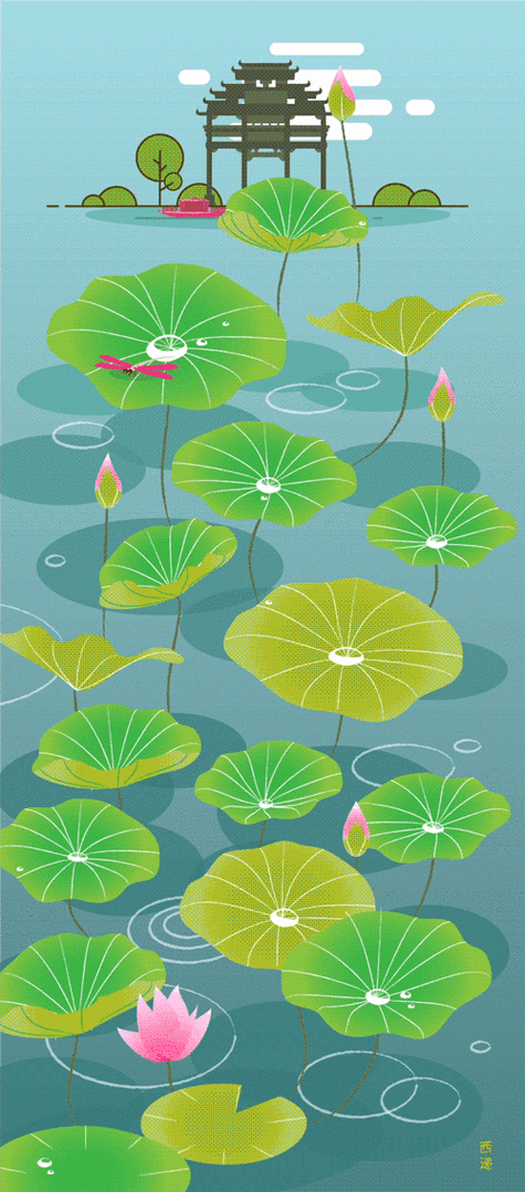 西递荷上蜻蜓一镜到底