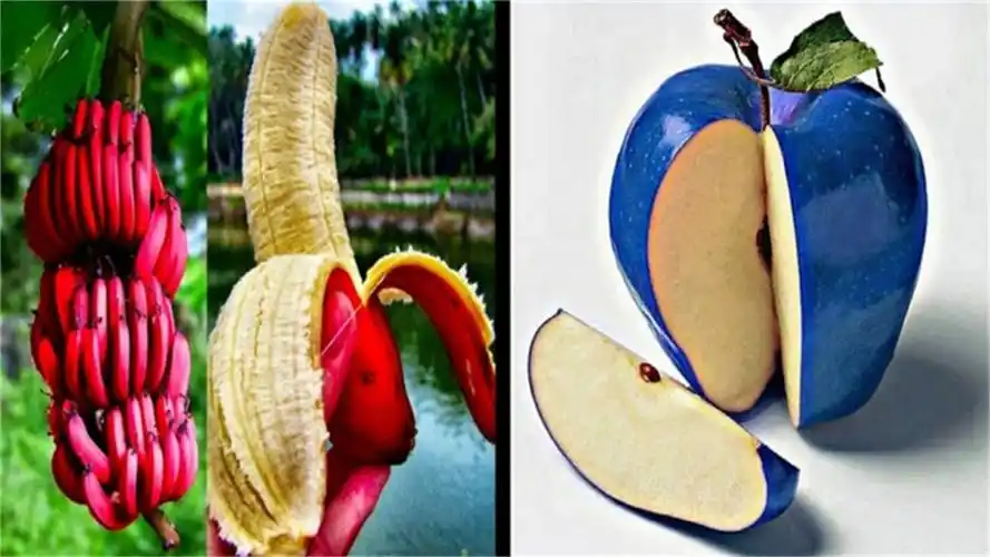 歪果仁眼中奇特的水果,这不是烂大街吗?