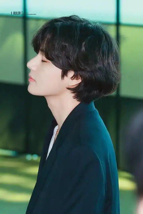 是不是你也羡慕金泰亨粉丝