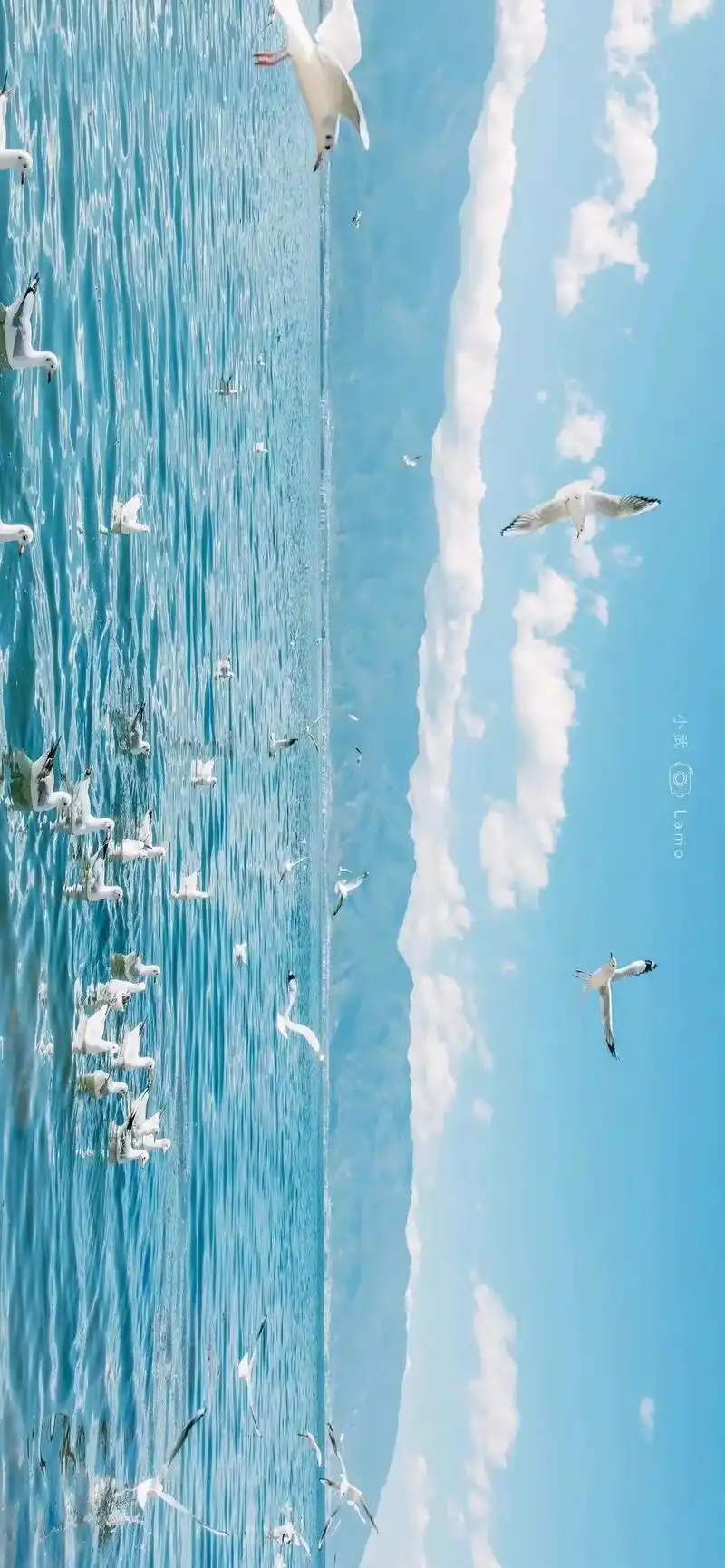 白月光的图|壁纸(第195期)#白月光的壁纸 #海边 #风景 - 抖音