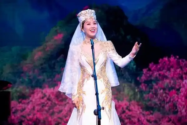 青年艺术人才专场丨王雅洁独唱音乐会追寻精彩上演