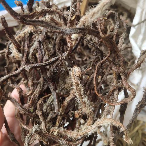 白毛蛇 500克包邮上树蛇 石祈蛇 白毛骨碎补白毛伸筋毛石蚕