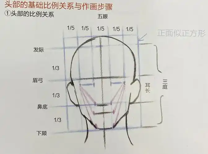 干货分享,三庭五眼比例分析