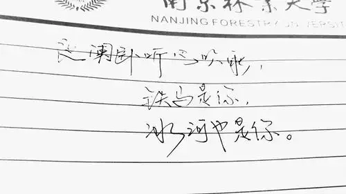 签字笔 手书 手写句子 原创 歌词 台词 原创壁纸 励志壁纸 哲理 黑白