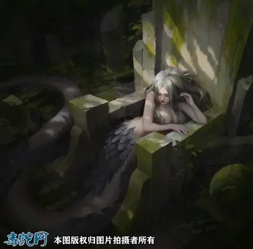 蛇女图片惊艳的蛇女图片大全欣赏