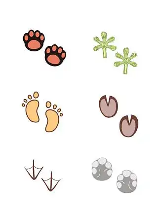 i>矢 /i> i>量 /i>动物和人类的 i>脚 /i> i>印 /i>