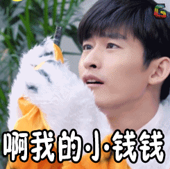 小钱钱开心小老虎soogifsoogif出品gif动图_动态图_表情包下载_soogif