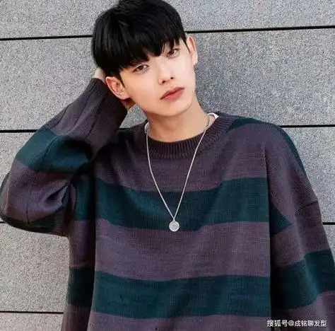 男生平刘海叫什么