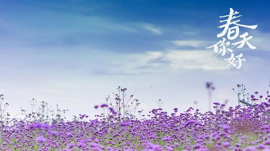 你好春天小清新淡雅风光