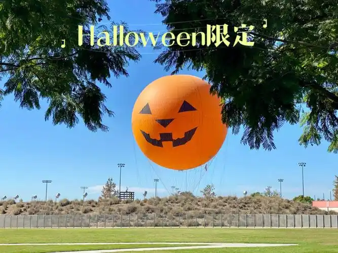 大公园热气球打卡日