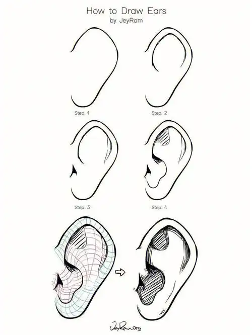 耳朵绘制教程